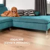 Escova Vileda Always Clean PET PRO