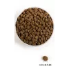ACANA Highest Protein Pacifica - Alimento seco para cães - 11,4 kg