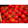 Sementes de tomate-cereja Bajaja Toraf, embalagem de 0,3 g
