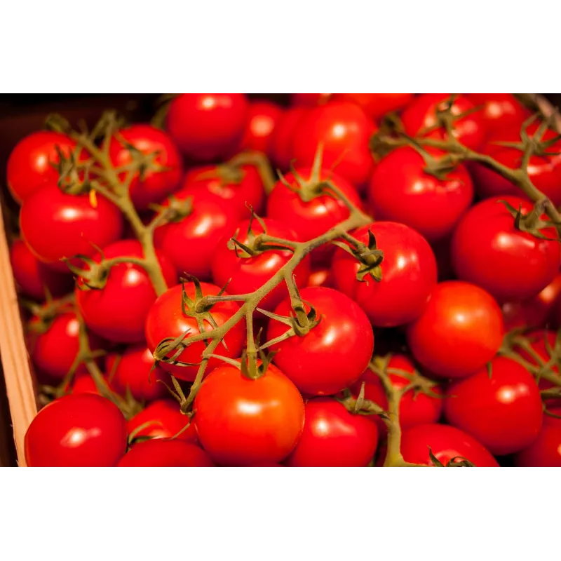 Sementes de tomate-cereja Bajaja Toraf, embalagem de 0,3 g