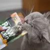 RAW PALEO Adult Cat Sterilised peru - comida húmida para gatos - 100 g