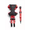 Arnês para cão ZOLUX TRAVEL SAFE S, tamanho S, vermelho