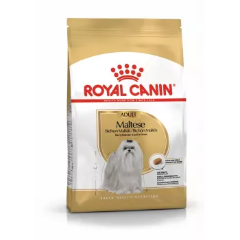 Ração seca para cães Royal Canin Maltese Adult 1,5 kg – frango, 24 % proteína, 18 % gordura