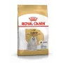 Royal Canin Maltese Adult ração seca para cães, 1,5 kg