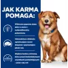 HILL'S Prescription Diet Derm Complete - alimento seco para cães - 1,5kg