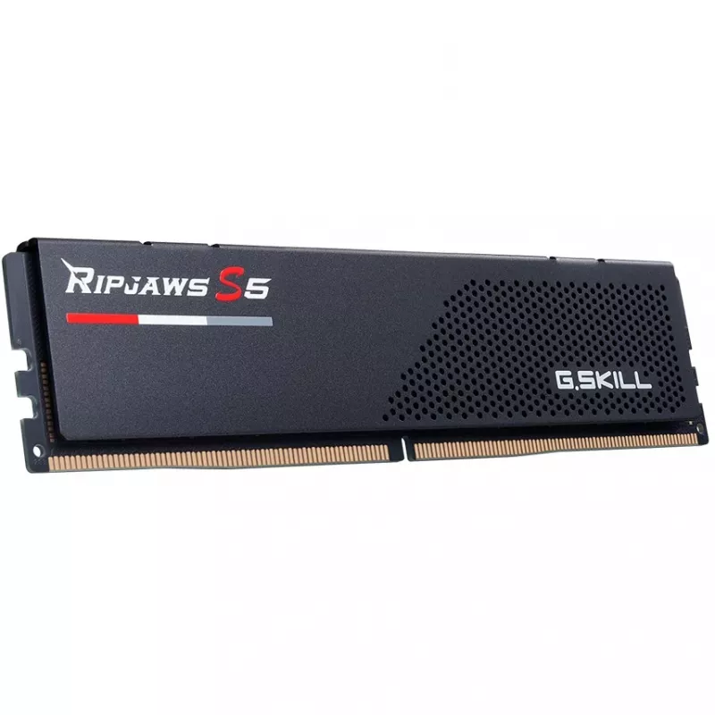 G.Skill F5-6000J3036F24GX2-RS5K 48 GB (2 x 24 GB) DDR5-6000 CL30 Kit de memória