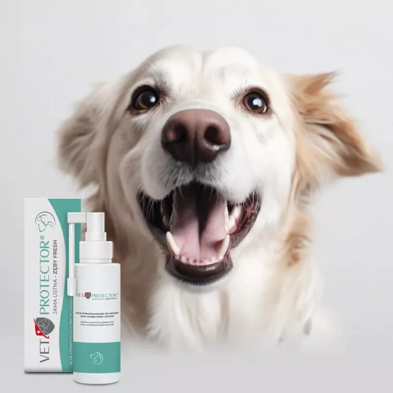 Solução de higiene oral JM Sante Vet Protector Fresh 100 ml para cães e gatos, prevenção do tártaro