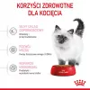 Royal Canin FHN Kitten ração seca para gatinhos, 4 kg