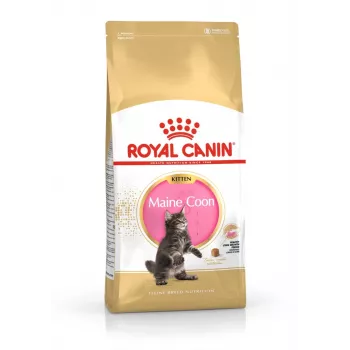 ROYAL CANIN Maine Coon Kitten - Ração seca para gatos - 4 kg