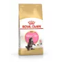 ROYAL CANIN Maine Coon Kitten - Ração seca para gatos - 4 kg