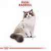 Royal Canin FBN Ragdoll Adult ração seca para gatos, 2 kg