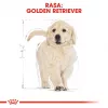 Royal Canin Golden Retriever Puppy ração seca para cães, 12 kg