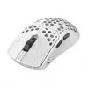 Rato de gaming Endgame Gear TENKO AKITSU MEDIUM — 40 g, sensor PixArt 3950, polling 8K, branco