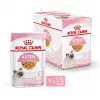 Royal Canin Feline Health Nutrition Kitten Instinctive em geleia ração húmida para gatinhos, 12 x 85 g