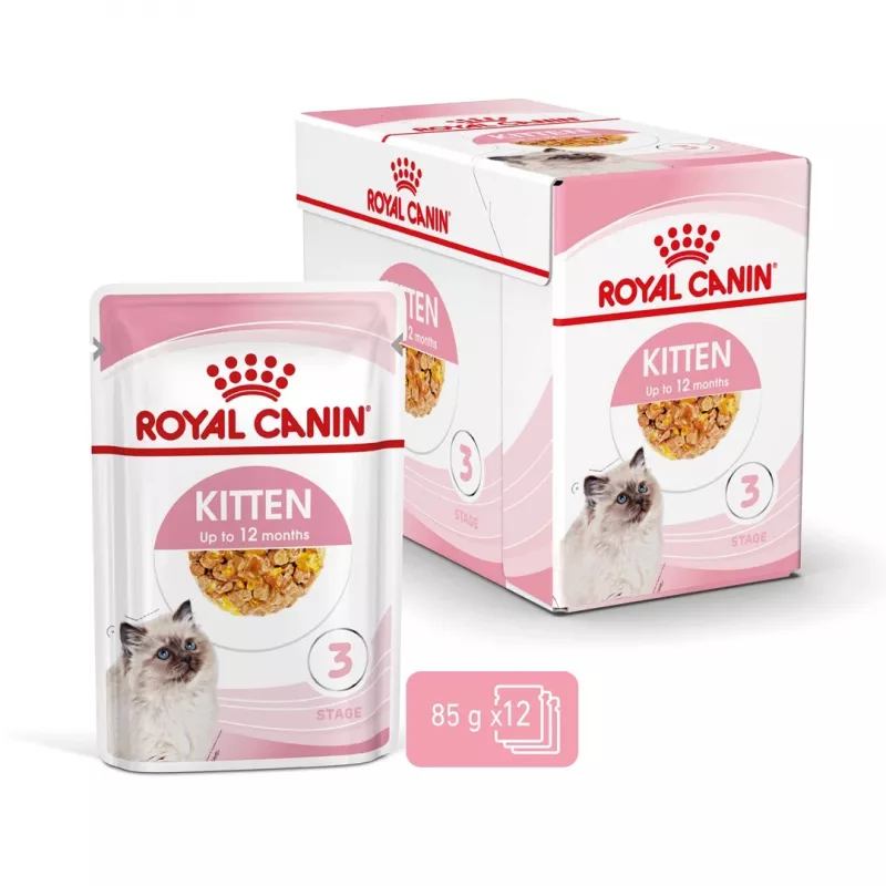 Royal Canin Feline Health Nutrition Kitten Instinctive em geleia ração húmida para gatinhos, 12 x 85 g