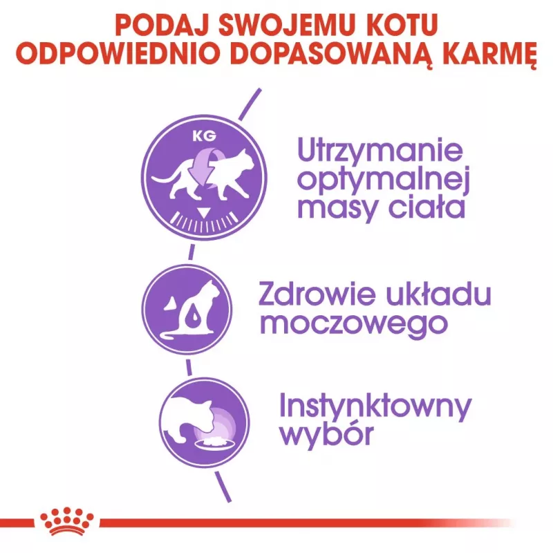ROYAL CANIN FHN Sterilised in Soße – Comida húmida para gatos adultos – 12x85g