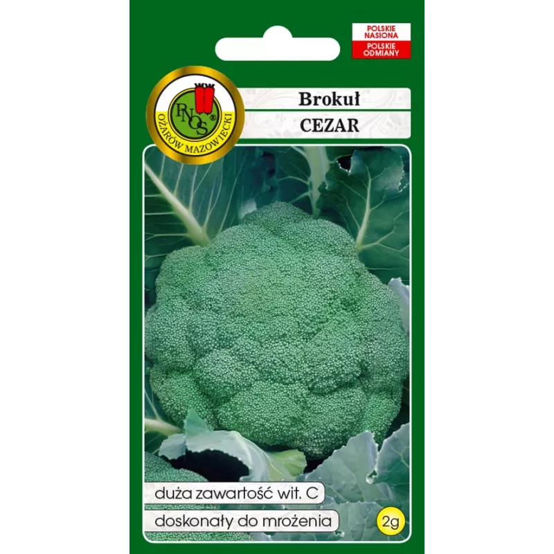 PNOS brócolo Caesar sementes de hortícolas, 2 g
