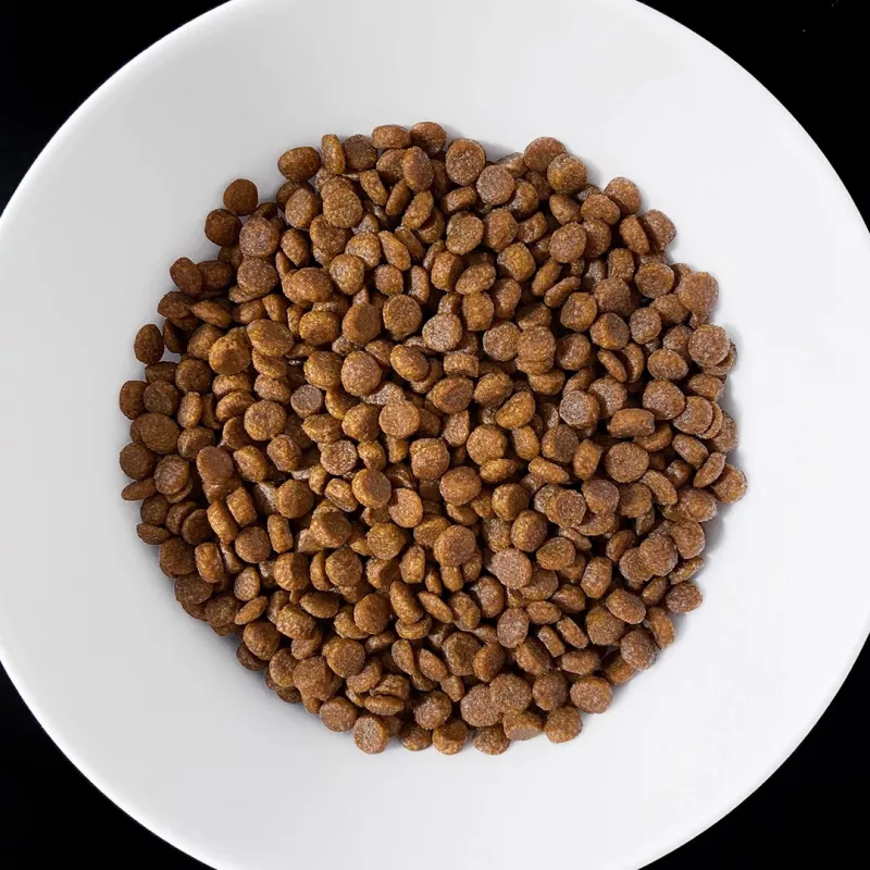 VET RESPONSE Gastrointestinal - Alimento seco para gatos - 400 g