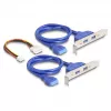 Adaptador USB 3.2 Gen 1 interno DeLOCK 61066 M.2 conector macho preto