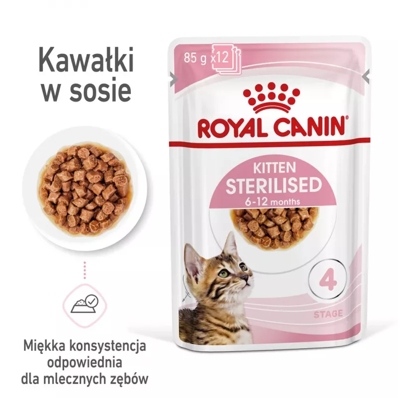 Royal Canin FHN Kitten Sterilised alimento húmido para gatos em molho, embalagem de 12 x 85 g