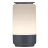 Lâmpada de decoração LED Activejet AJE-CAMILLA RGB
