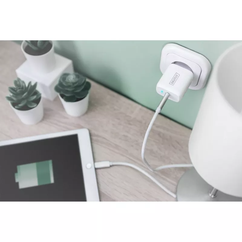 Digitus - Fonte de alimentação - 20 Watt - 3 A - PD 3.0 (USB-C) - branco (DA-10196)