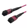 Cabo de patch de fibra ótica MTP fêmea OM4 LowLoss(ELite), 12 fibras, Tipo B cruzado, heather violeta, 10 m, Synergy 21 (S216791)