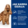 HILL's Prescription Diet Food Sensitivites z/d - comida seca para cães - 10 kg