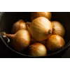 Sementes de hortícolas cebola Wolska Toraf, pacote 5g