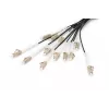 Cabo breakout Digitus DK-2433CU030BK-BBB 30 m OM4 12 fibras LC/UPC