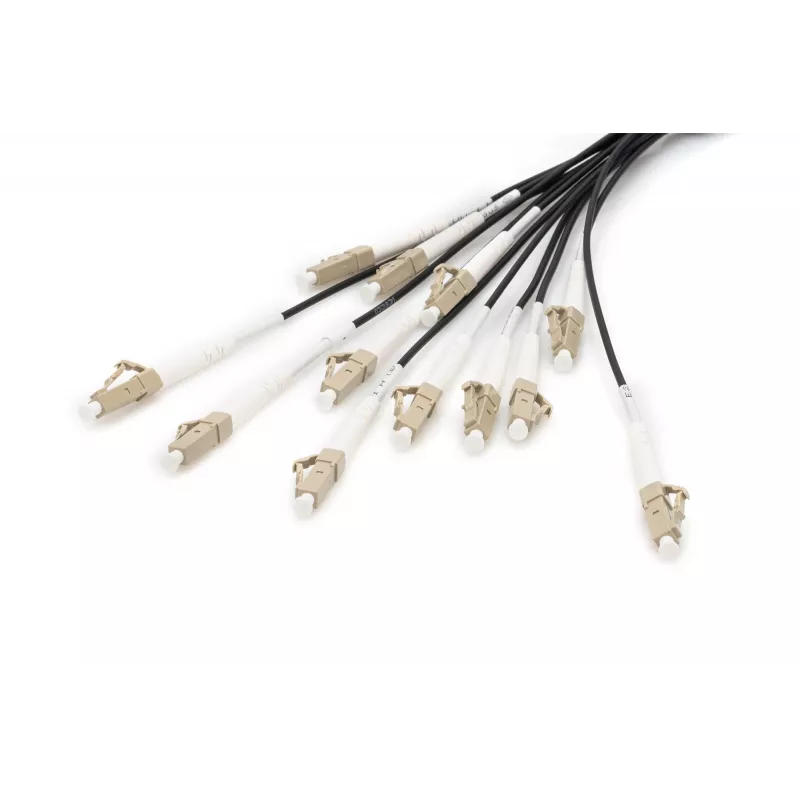 Cabo breakout Digitus DK-2433CU030BK-BBB 30 m OM4 12 fibras LC/UPC