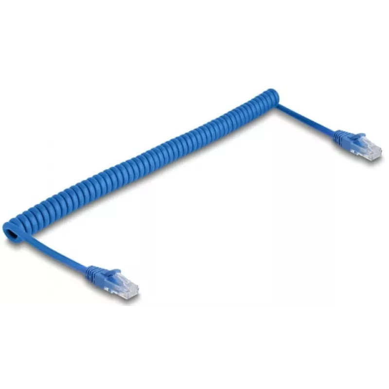 Cabo de rede DeLOCK 90197 Azul 1,2 m Cat6 U/UTP
