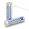 Pilha everActive 18650 3.7V Li-ion 2600mAh micro USB com proteção BOX