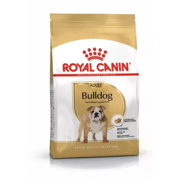 Ração seca para cães Royal Canin Bulldog Adult 12 kg — para bulldogues adultos, sabor a frango, 24% proteína, 14% gordura