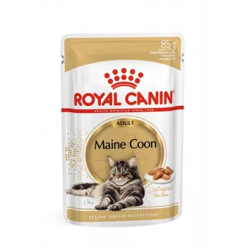 ROYAL CANIN FBN Maine Coon - Comida húmida para gatos - Saqueta 12x 85g