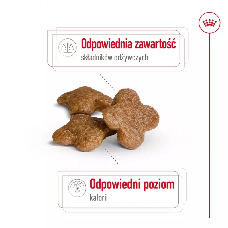 Comida seca para cães Royal Canin Mini Adult 8+ 2 kg — raças pequenas 5–10 kg, aves, fórmula de controlo de peso