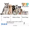Coleira LED KABB azul para cães e gatos – recarregável, coleira de segurança ajustável com iluminação