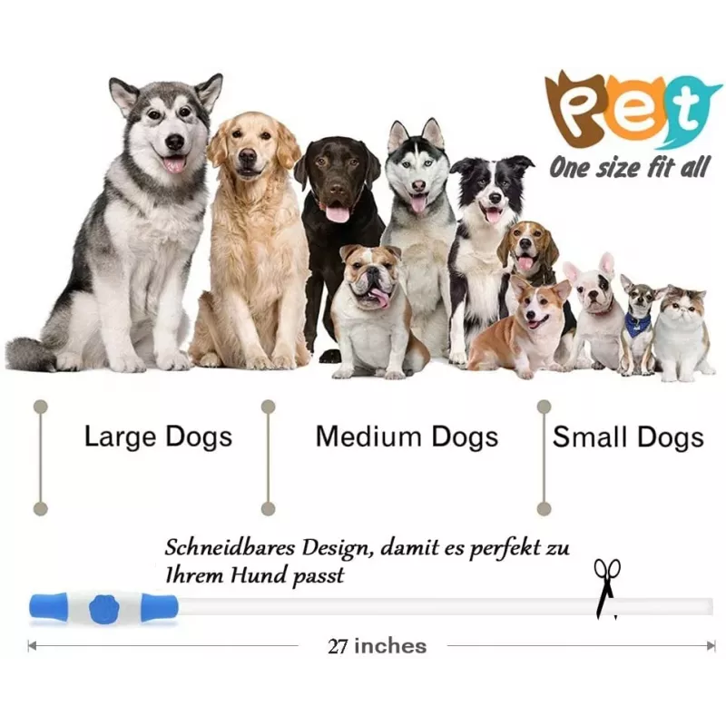 Coleira LED KABB azul para cães e gatos – recarregável, coleira de segurança ajustável com iluminação
