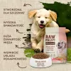 VETEXPERT Raw Paleo Healthy Grain Puppy Salmon & Barley ração seca para cachorros, 10 kg
