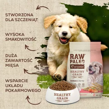 Alimento seco para cães VETEXPERT Raw Paleo Healthy Grain Puppy Salmão e Cevada 10 kg, proteína 29 % gordura 17 % humidade 9 %