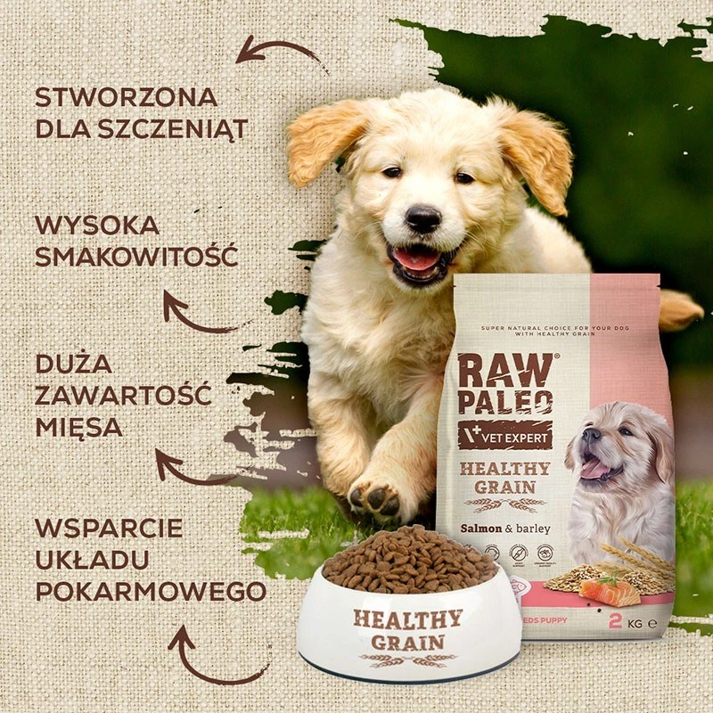VETEXPERT Raw Paleo Healthy Grain Puppy Salmon & Barley ração seca para cachorros, 10 kg