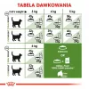 Royal Canin Outdoor comida seca para gatos 2 kg