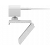 Webcam Lenovo GXC1D66063 2,8 MP 1920 x 1080 píxeis USB-C cinzento