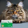 Cápsulas de gel mole com fecho giratório JM Sante Multiway Vet pelo e pele para cães e gatos 60 unid., 150 g