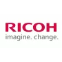 Ricoh D2586166 (D258-6166) ROLO:TRANSFERÊNCIA INTERMÉDIA:CONJUNTO