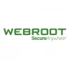 Webroot | DNS Protection with GSM Console | 2 ano(s) | Quantidade de licenças 10-99 utilizadores