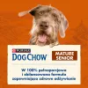Purina Dog Chow Mature Senior alimento seco para cães com borrego, 14 kg