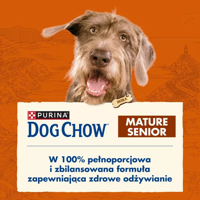 Purina Dog Chow Mature Senior alimento seco para cães com borrego, 14 kg