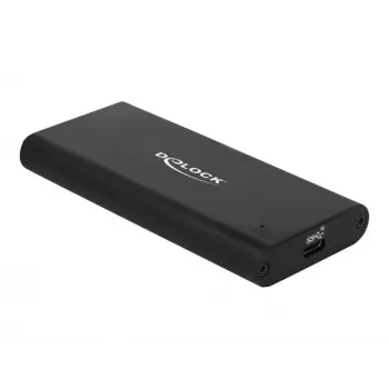 Delock - Caixa de armazenamento - M.2 - cartão M.2 NVMe - USB 3.1 (Gen 2) - preto (42614)
