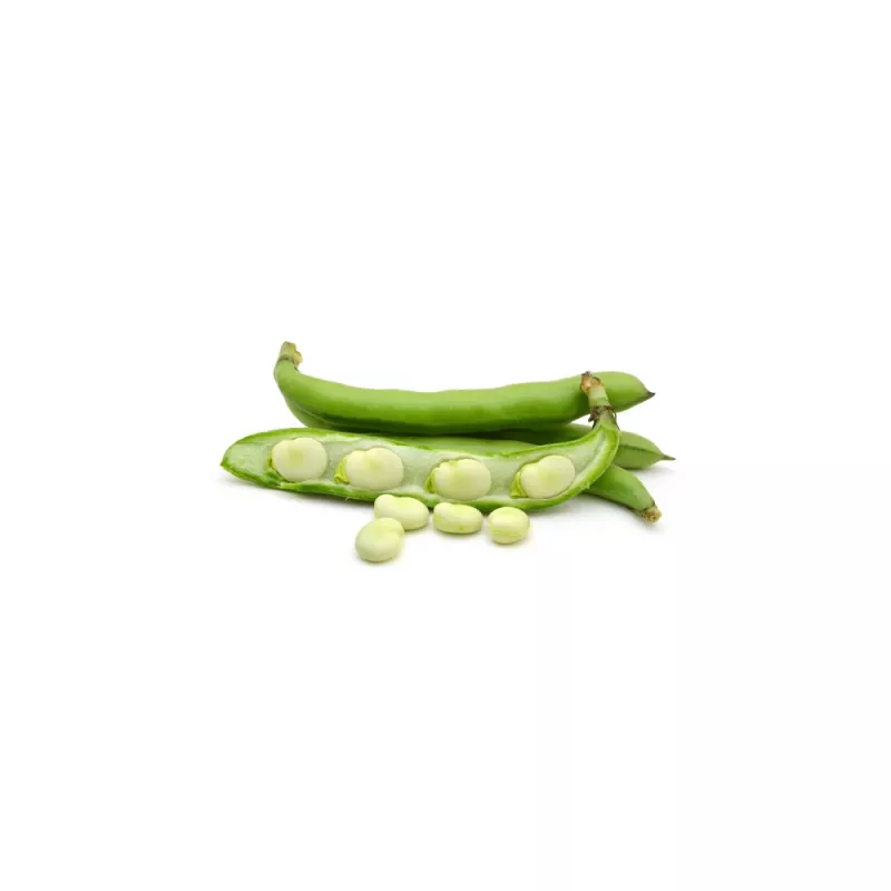 PNOS fava Jankiel White sementes, 50 g